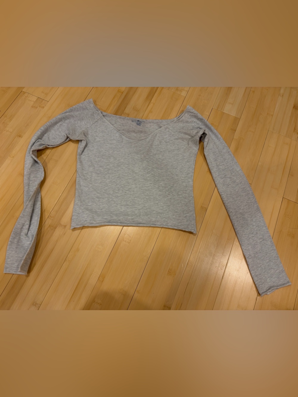 Brandy Melville Light Grey Long Sleeve Scoop Crop Top